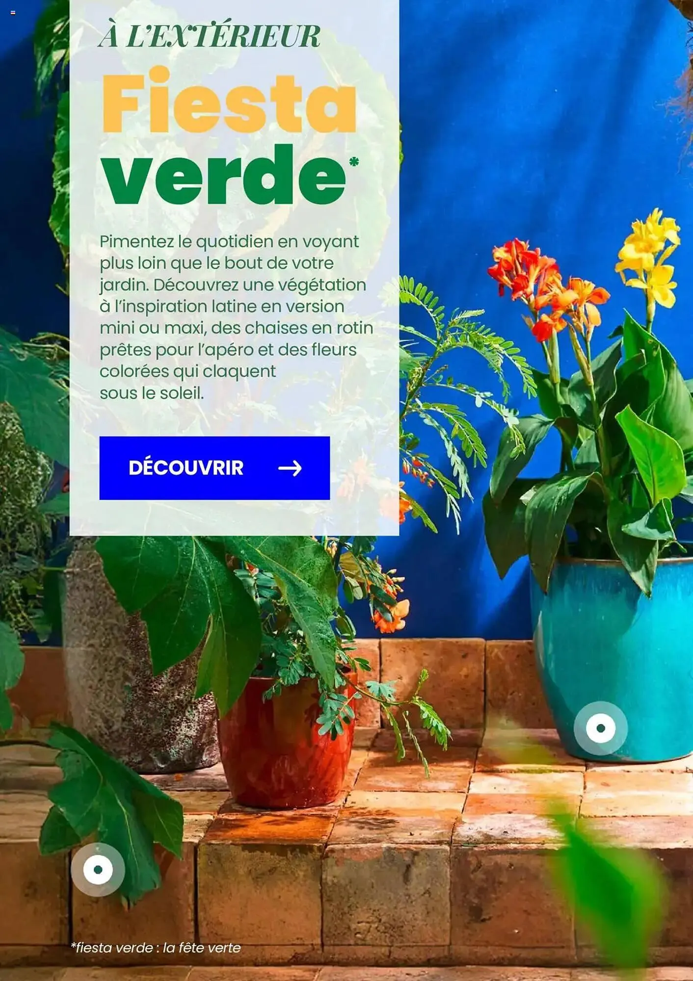 Catalogue Truffaut du 7 mai au 31 juillet 2025 - Catalogue page 6