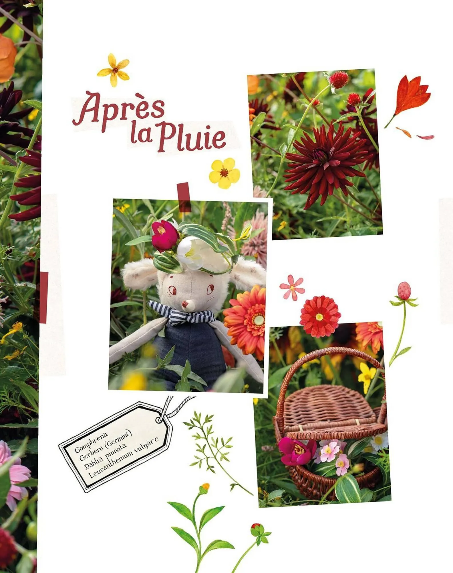 Catalogue Moulin Roty du 1 février au 28 février 2026 - Catalogue page 93