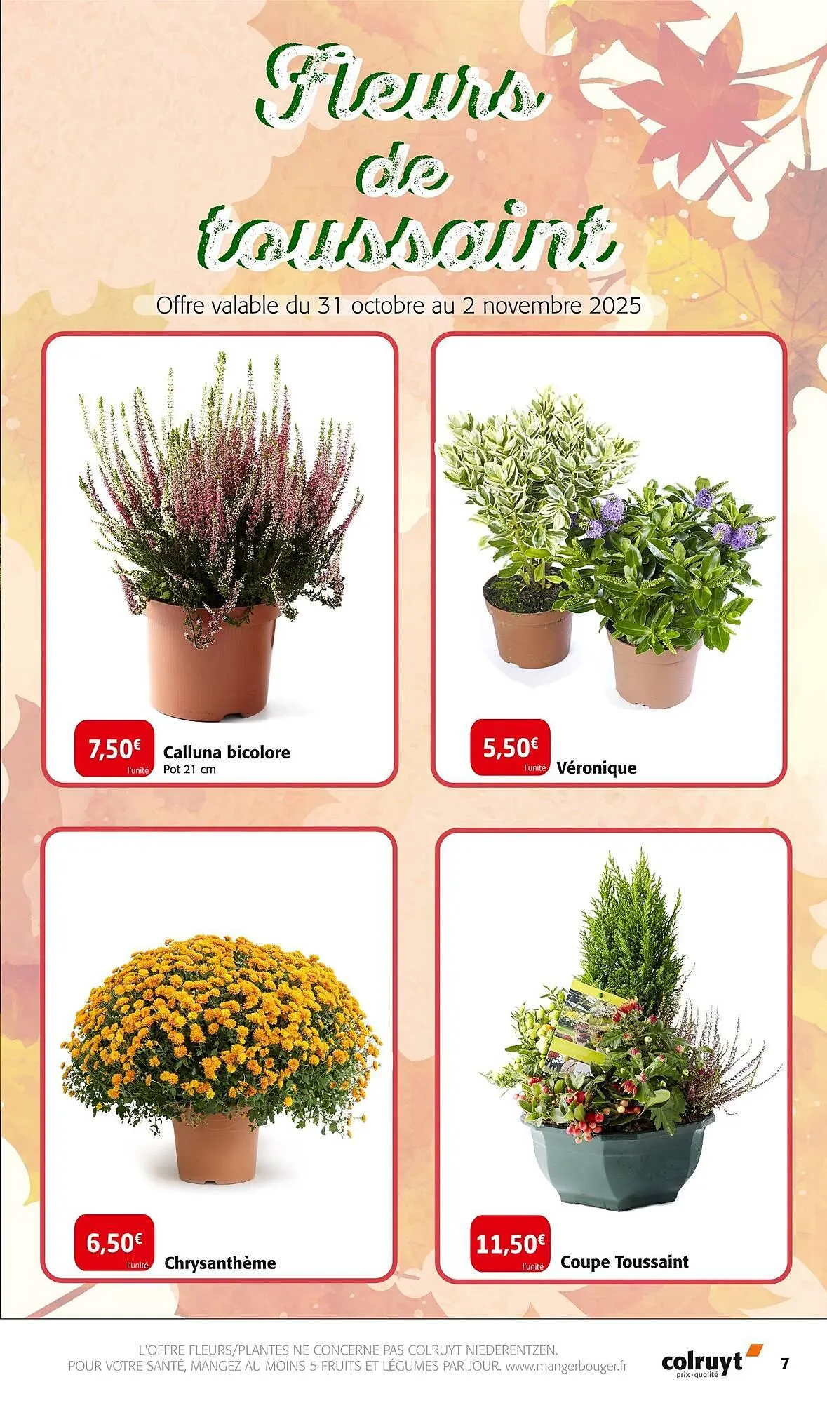Catalogue Colruyt du 29 octobre au 2 novembre 2025 - Catalogue page 7