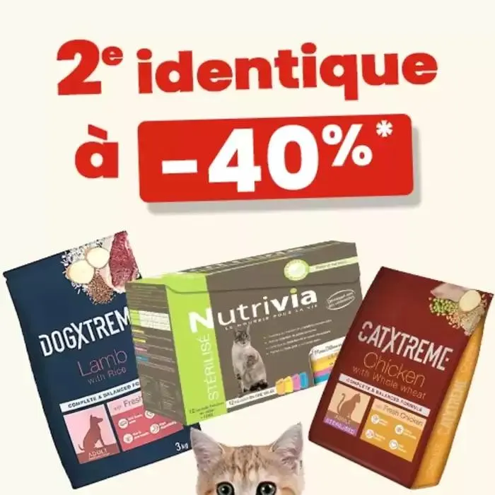 Super Deal ! du 17 mars au 5 avril 2025 - Catalogue page 4