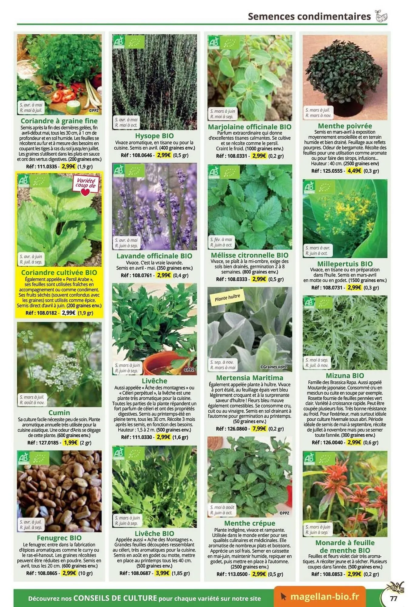 Catalogue Magellan du 16 décembre au 31 décembre 2025 - Catalogue page 77