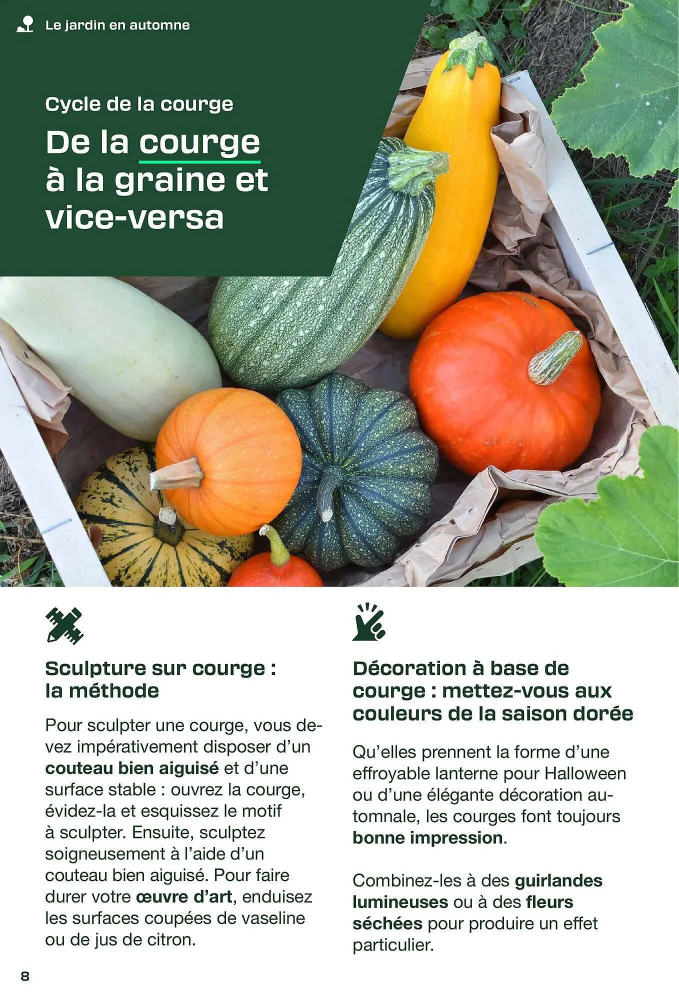 Catalogue Lidl du 2 octobre au 30 novembre 2025 - Catalogue page 8