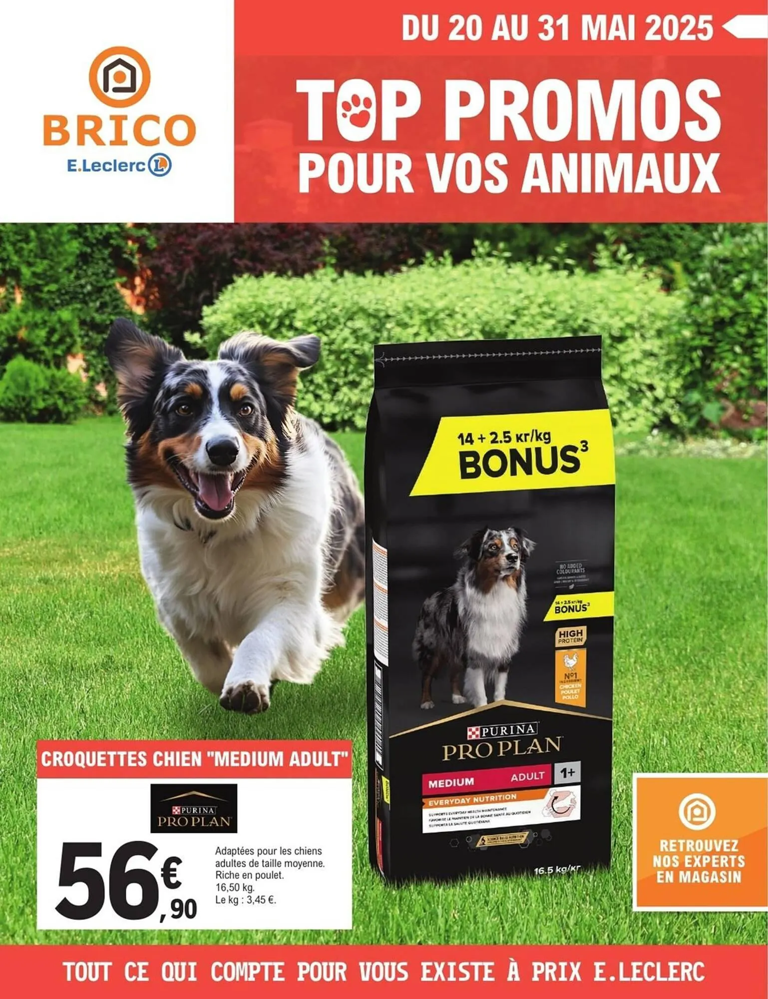 Catalogue E.Leclerc Brico - 1