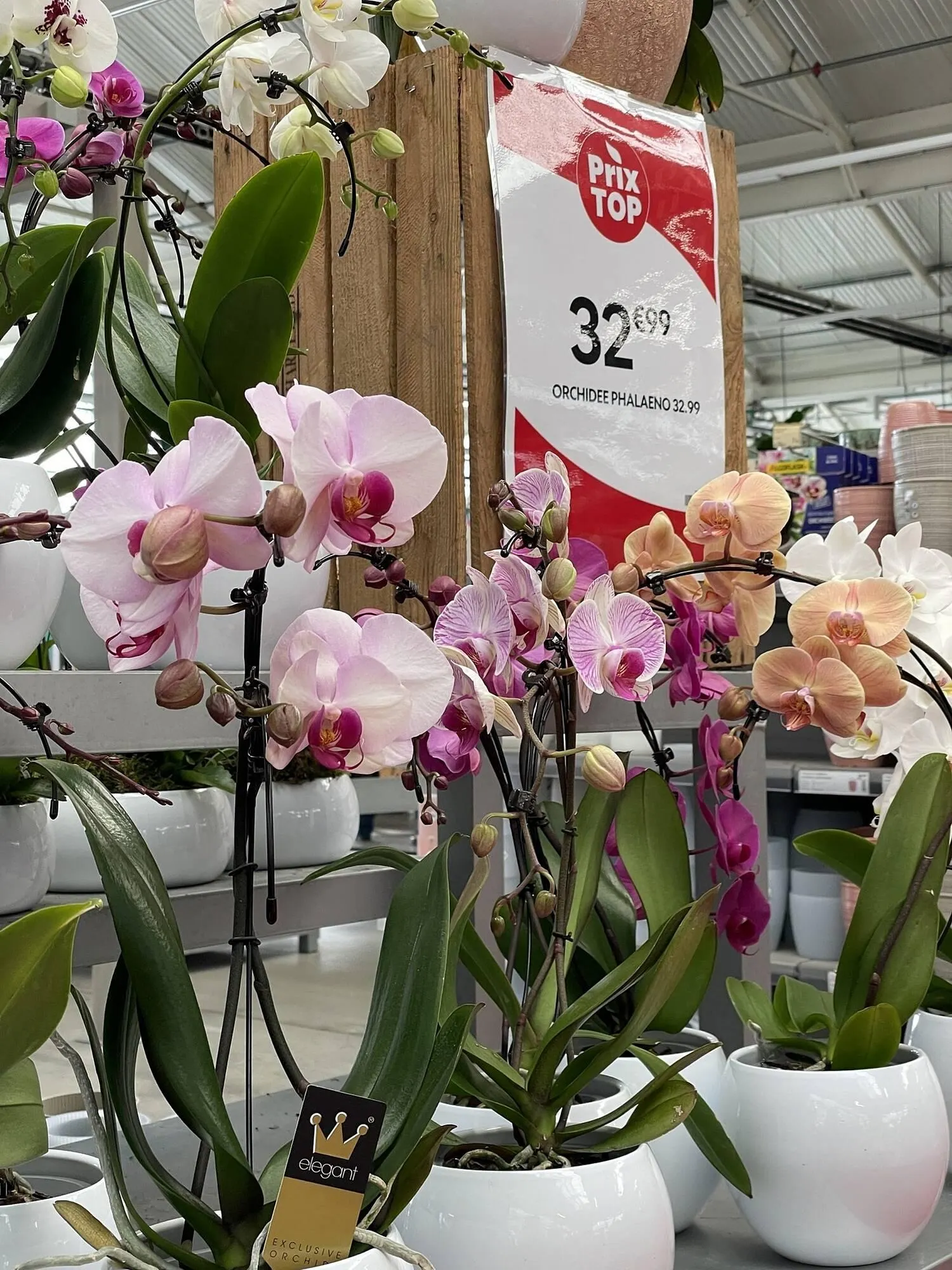 Catalogue Truffaut du 6 février au 22 février 2026 - Catalogue page 3