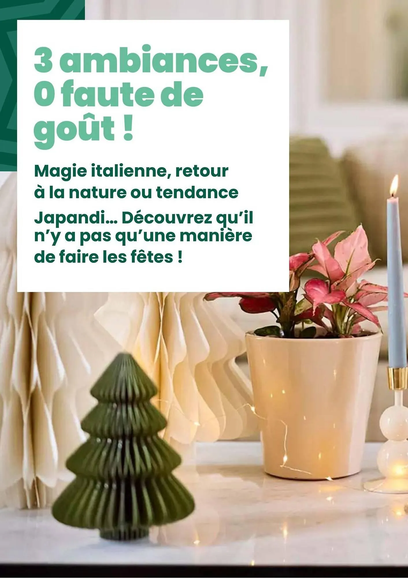 Catalogue Truffaut du 2 décembre au 31 décembre 2025 - Catalogue page 3