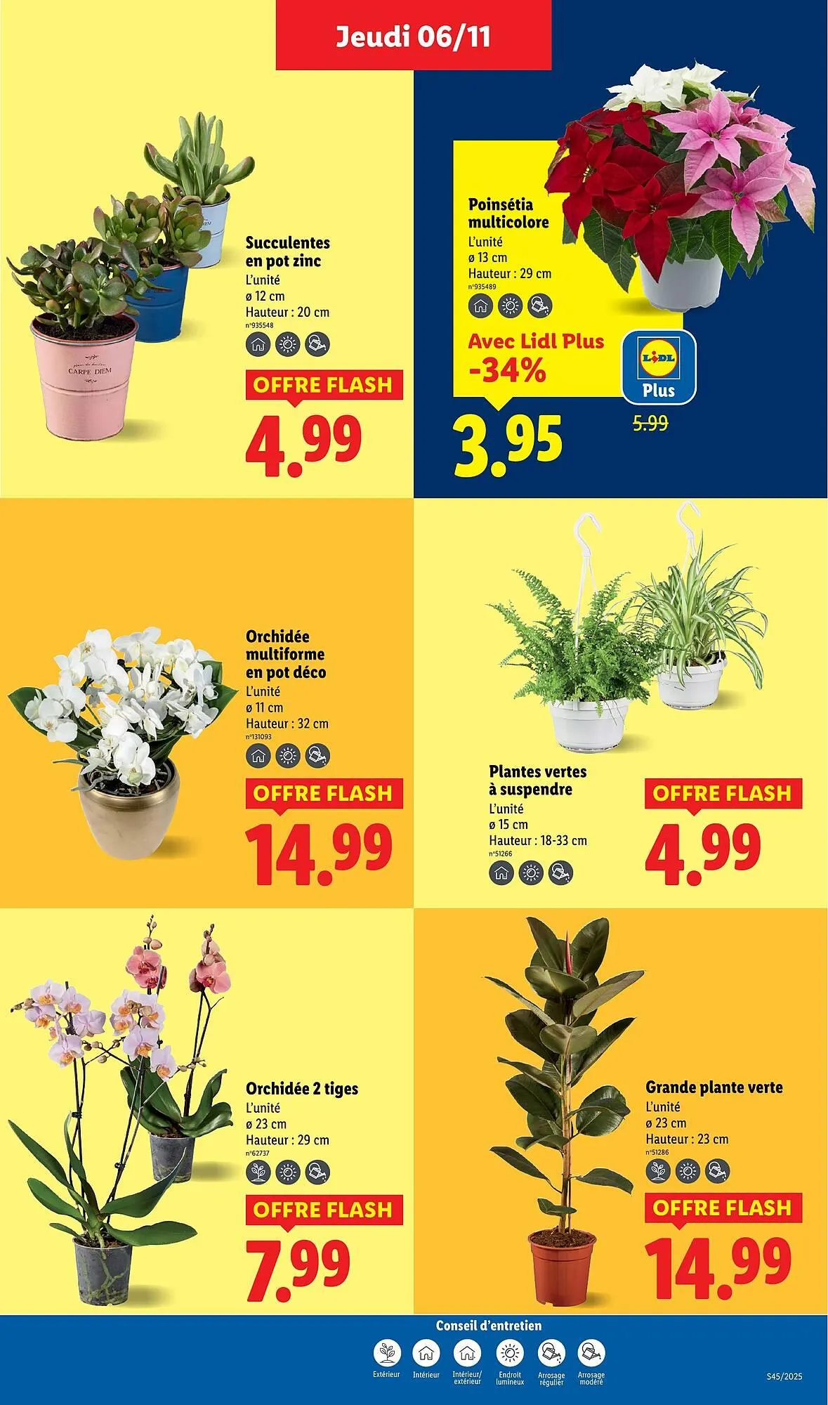 Catalogue Lidl du 6 novembre au 12 novembre 2025 - Catalogue page 39