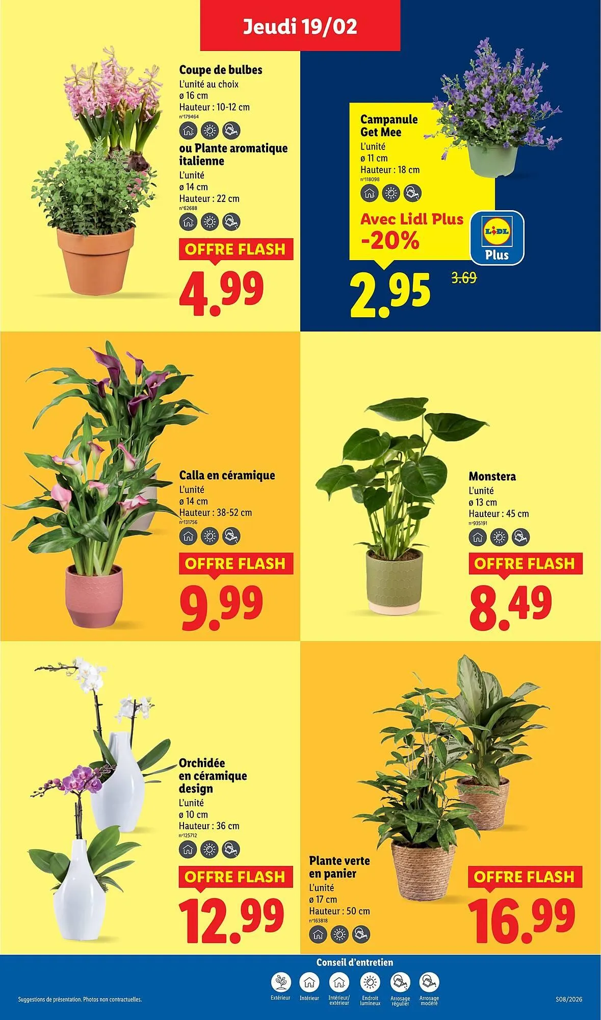 Catalogue Lidl du 19 février au 25 février 2026 - Catalogue page 29
