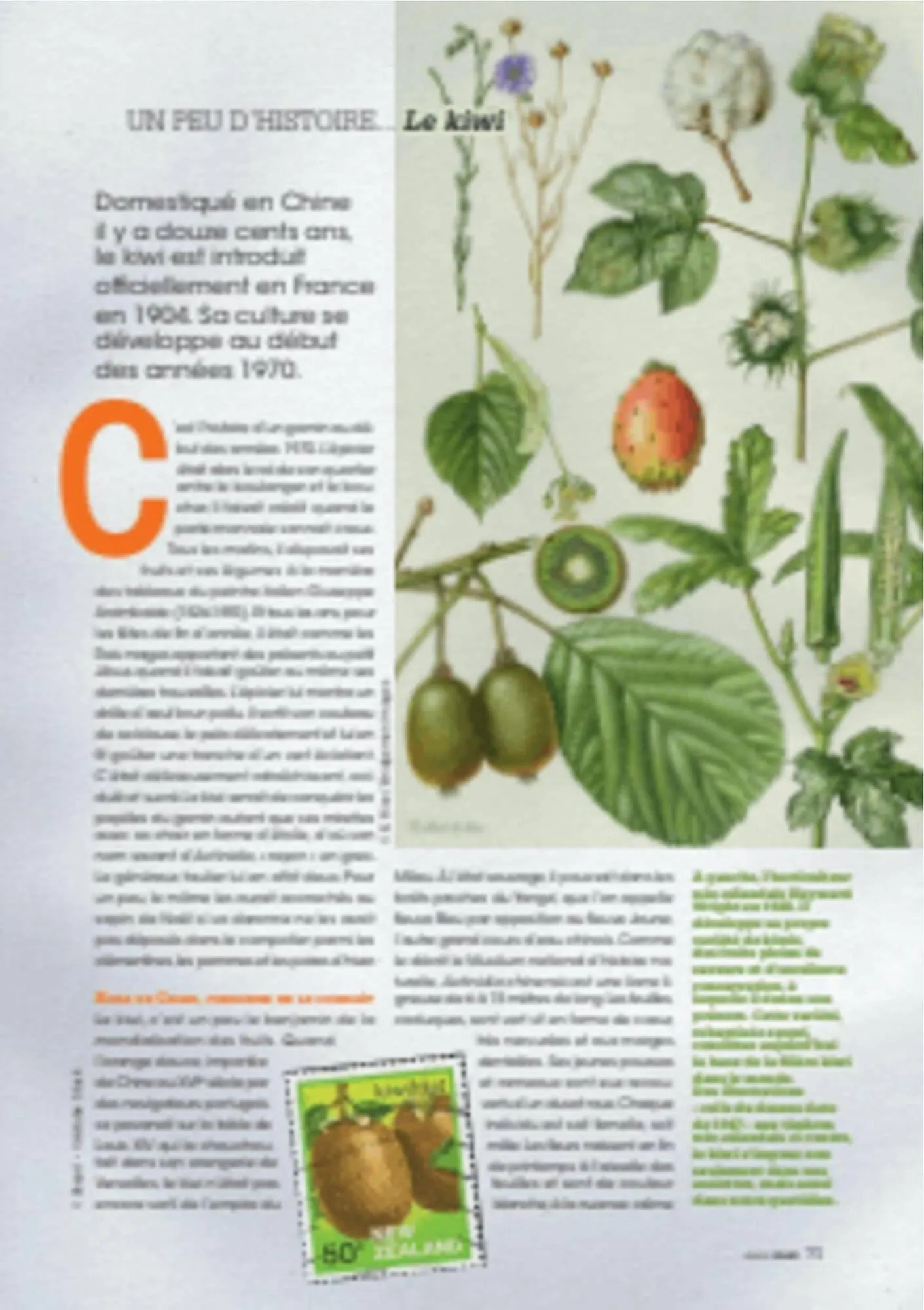 Catalogue Grand Frais du 12 décembre au 20 mars 2026 - Catalogue page 71