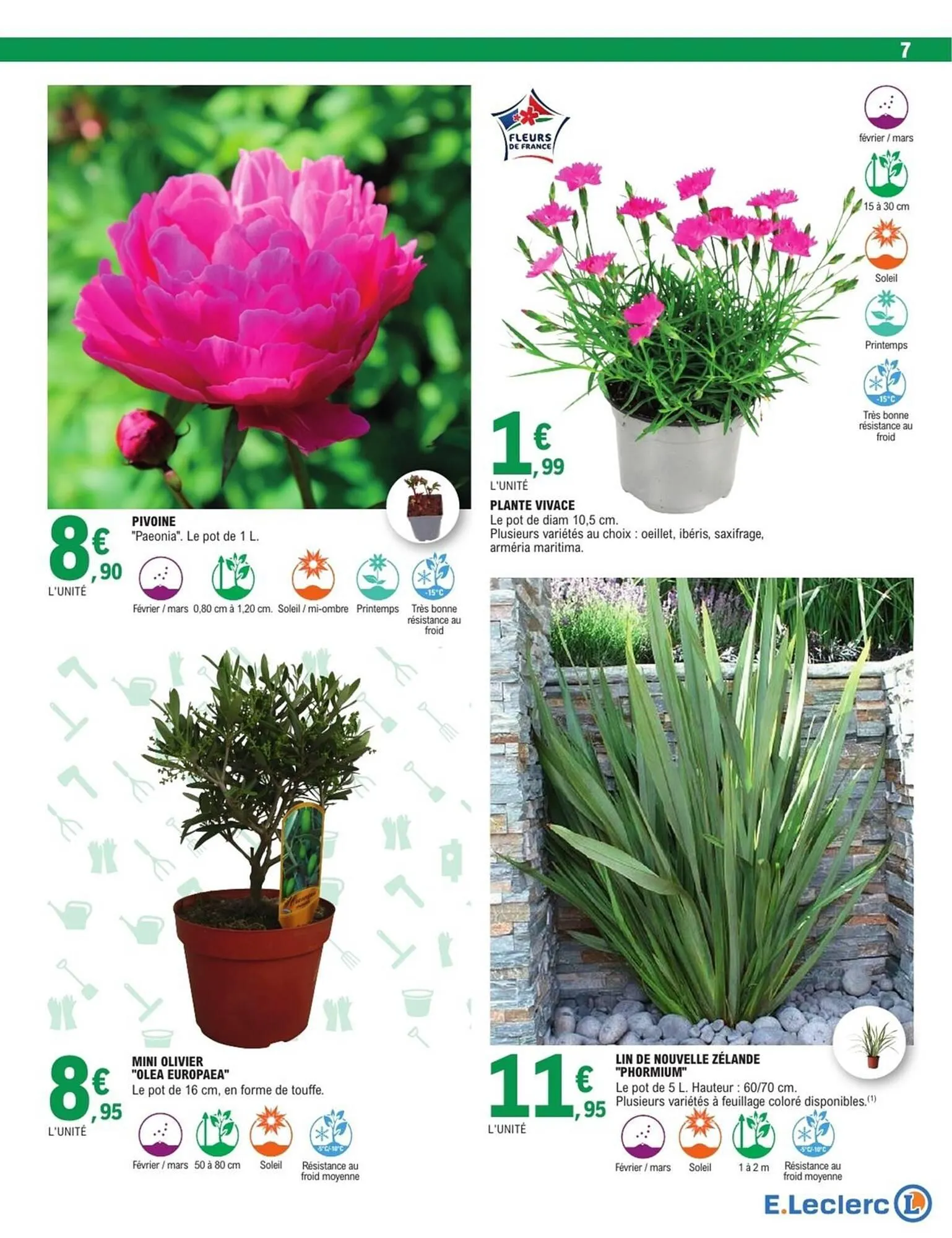 Catalogue E.Leclerc du 16 février au 28 février 2026 - Catalogue page 7