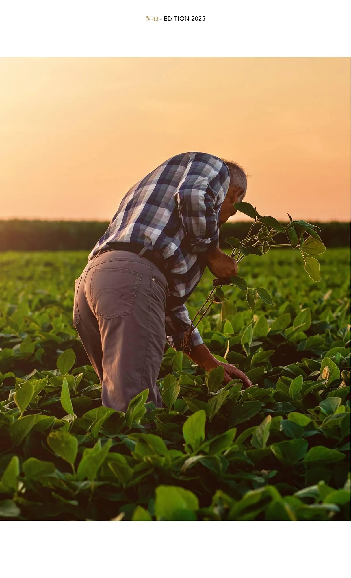 Catalogue METRO du 1 juillet au 31 décembre 2025 - Catalogue page 89