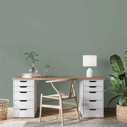 Peinture RIPOLIN Opur bio sourcée multi-supports vert nobile satin 2L