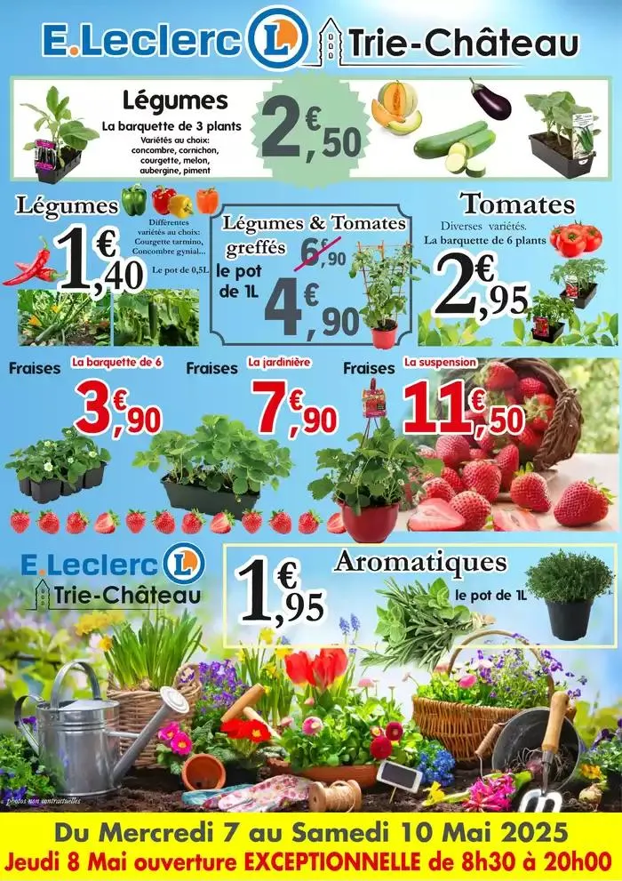 GRAND ARRIVAGE FLEURS ET PLANTES du 7 mai au 10 mai 2025 - Catalogue page 3