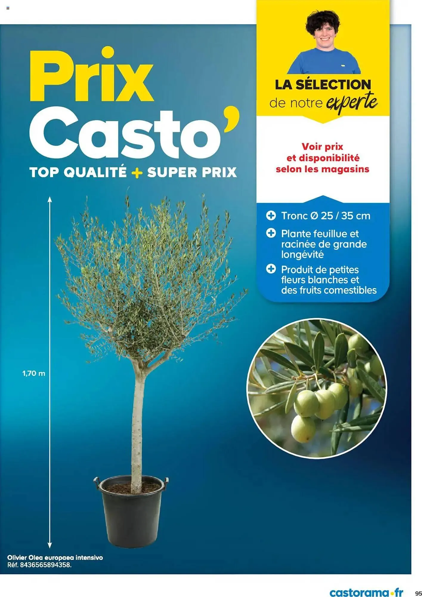 Catalogue Castorama du 26 février au 31 décembre 2025 - Catalogue page 95