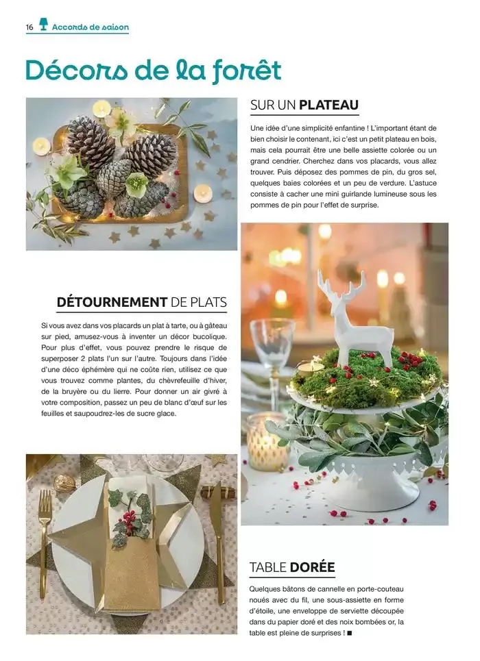 Hiver 2024 du 4 décembre au 20 mars 2025 - Catalogue page 16