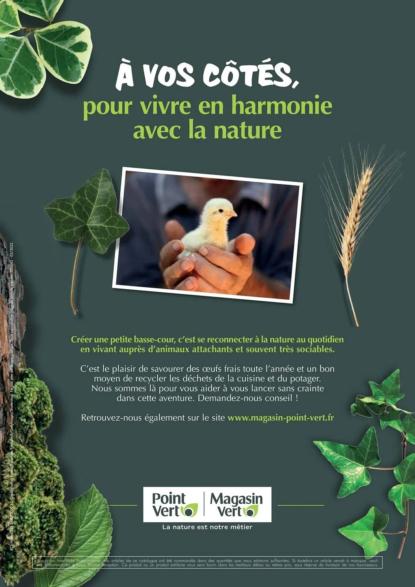 Catalogue Point Vert du 30 avril au 31 décembre 2025 - Catalogue page 32