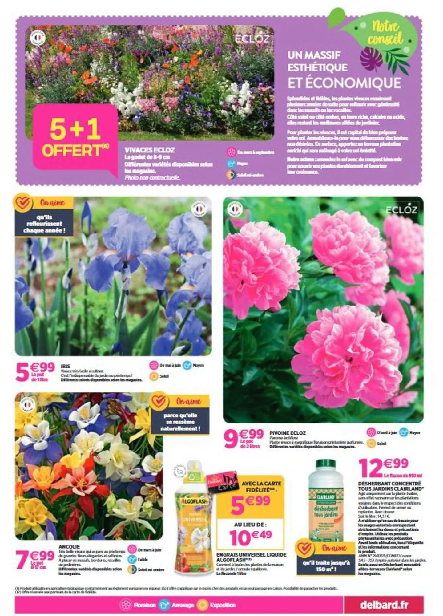 Catalogue Delbard du 26 février au 8 mars 2026 - Catalogue page 3