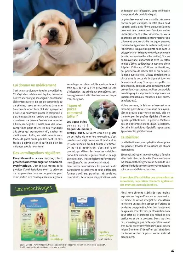 Le guide CHIENS & CHATS du 30 avril au 31 décembre 2025 - Catalogue page 47