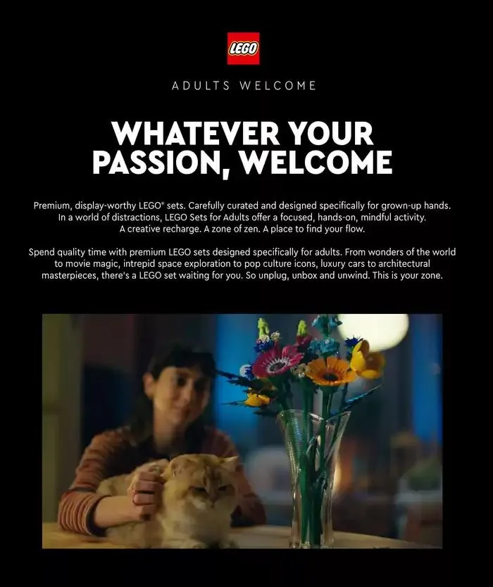 Adults Welcome da 29 ottobre a 29 gennaio di 2025 - Pagina del volantino 3