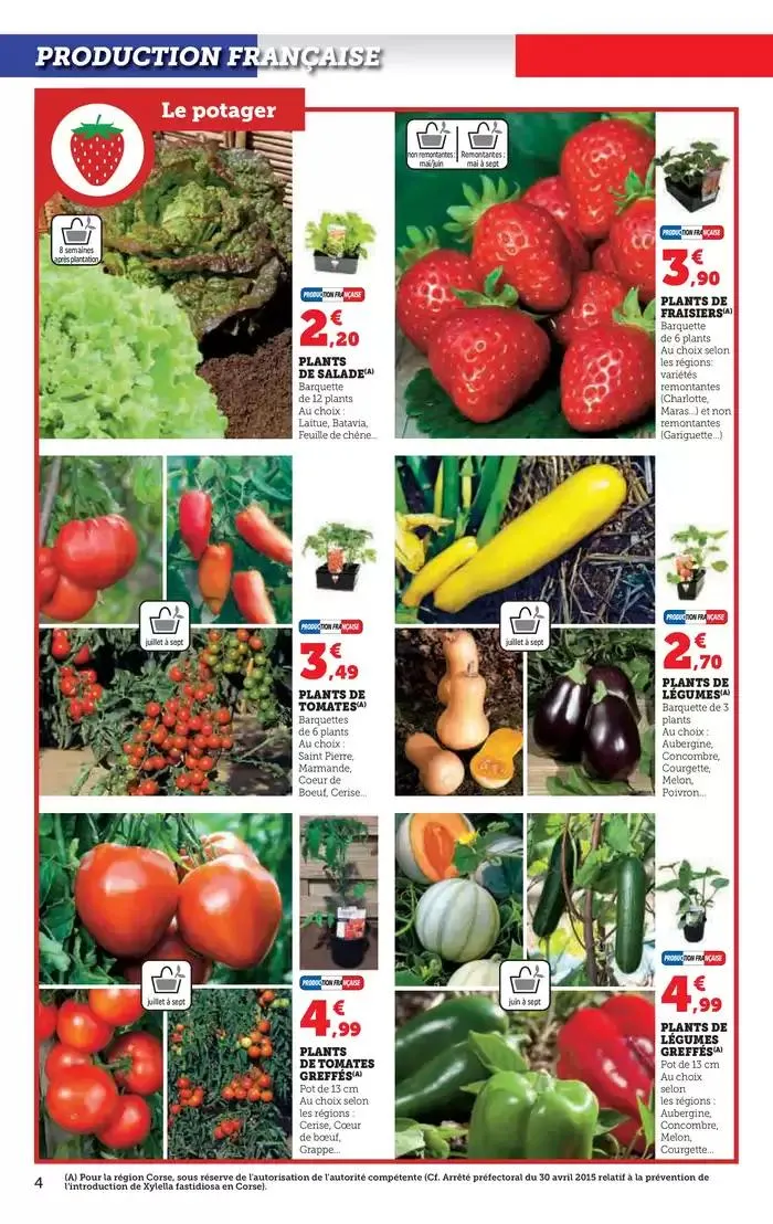 Spécial Jardin du 15 avril au 27 avril 2025 - Catalogue page 4