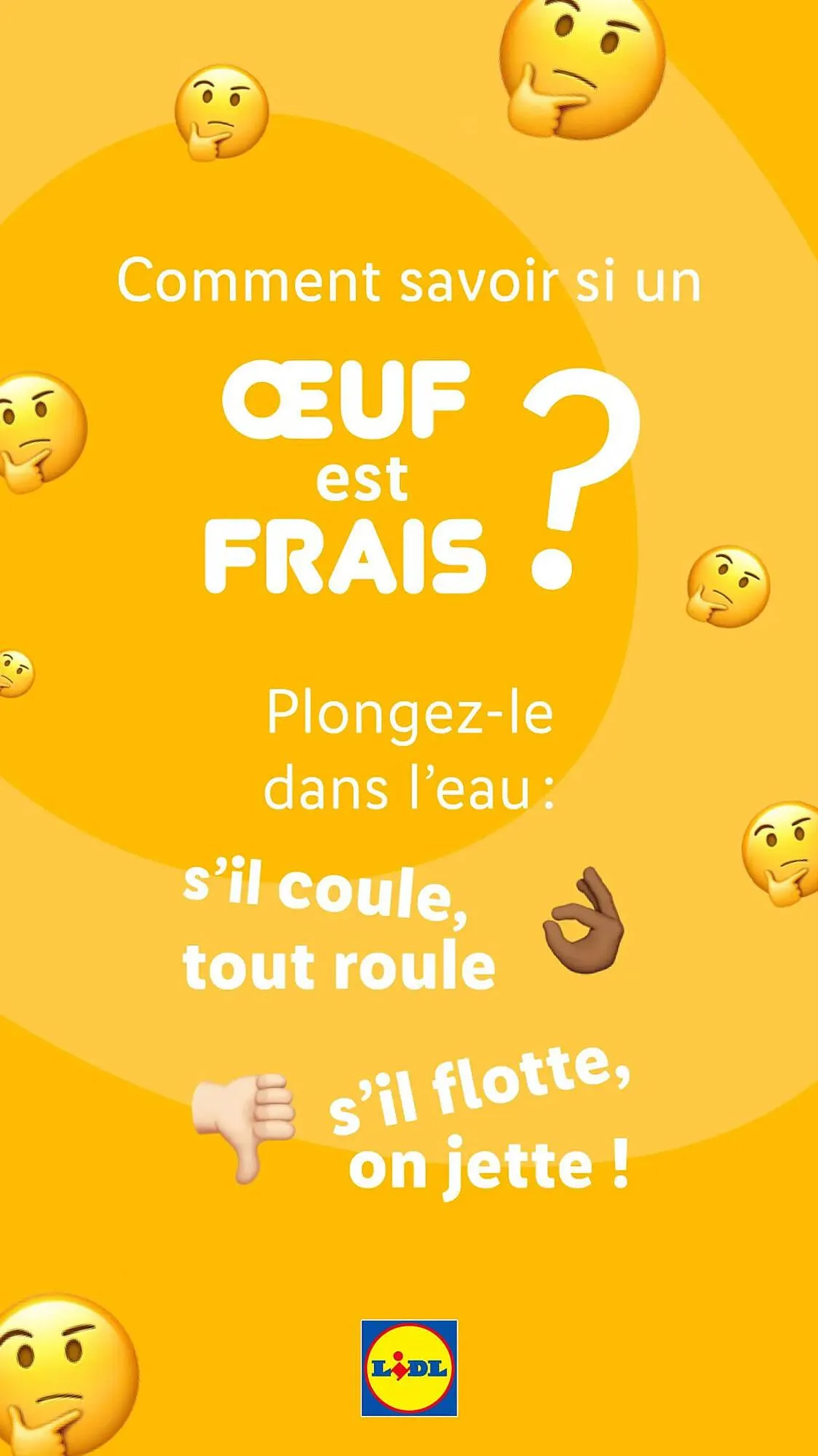 Catalogue Lidl du 13 mars au 27 avril 2025 - Catalogue page 10