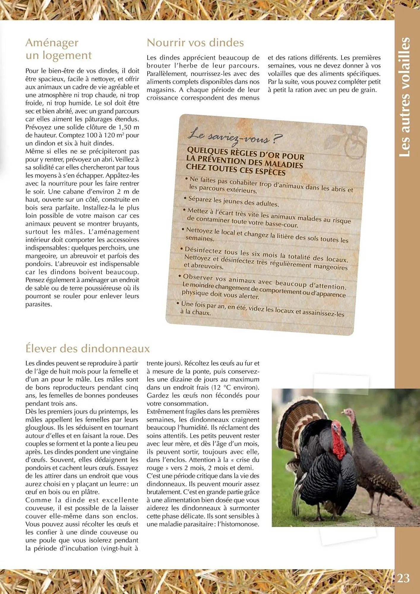 Catalogue Point Vert du 30 avril au 31 décembre 2025 - Catalogue page 23