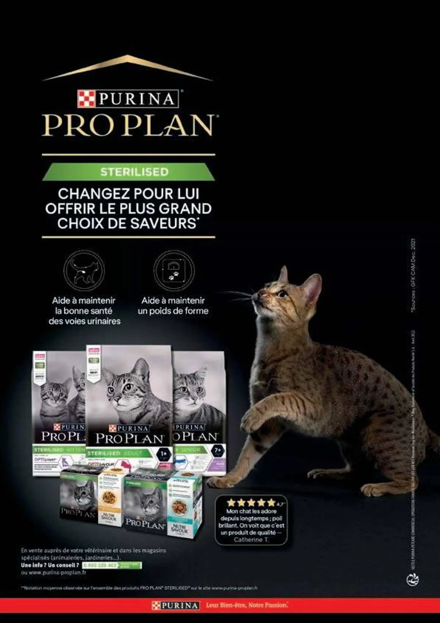 Catalogue Point Vert du 30 avril au 31 décembre 2025 - Catalogue page 14