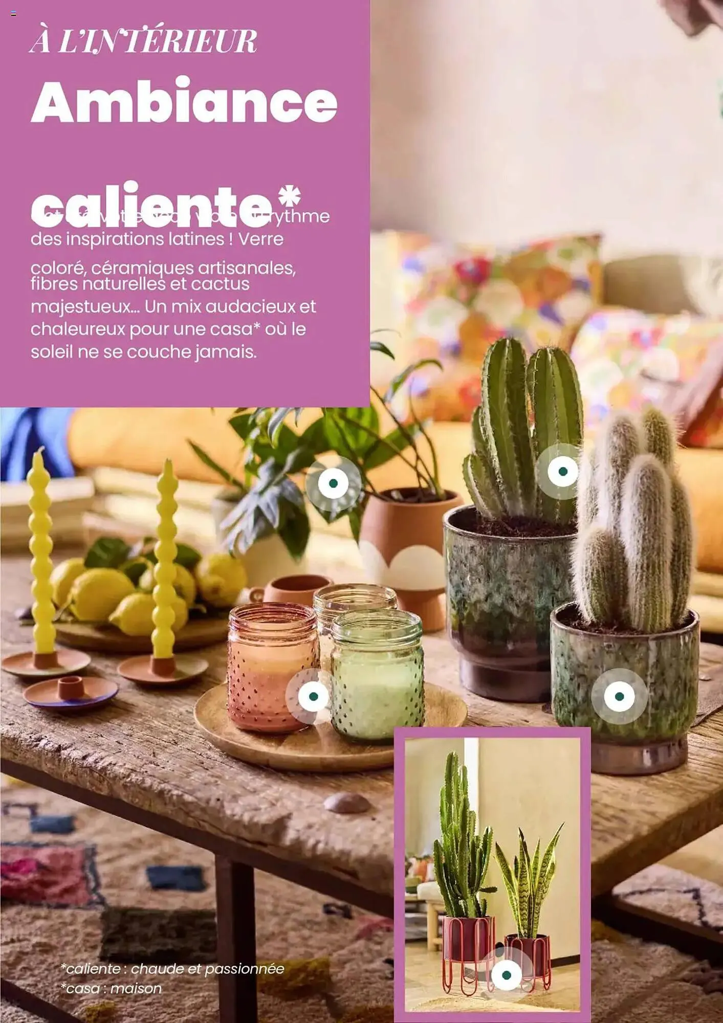 Catalogue Truffaut du 7 mai au 31 juillet 2025 - Catalogue page 16