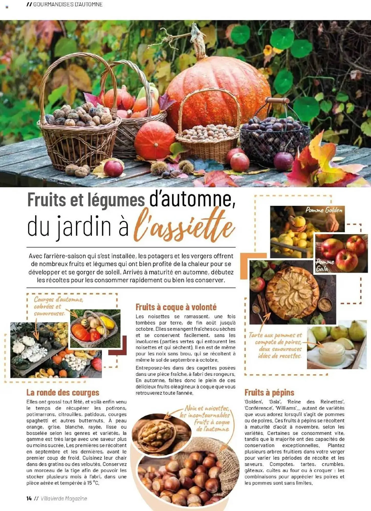 Catalogue VillaVerde du 19 septembre au 28 février 2026 - Catalogue page 14