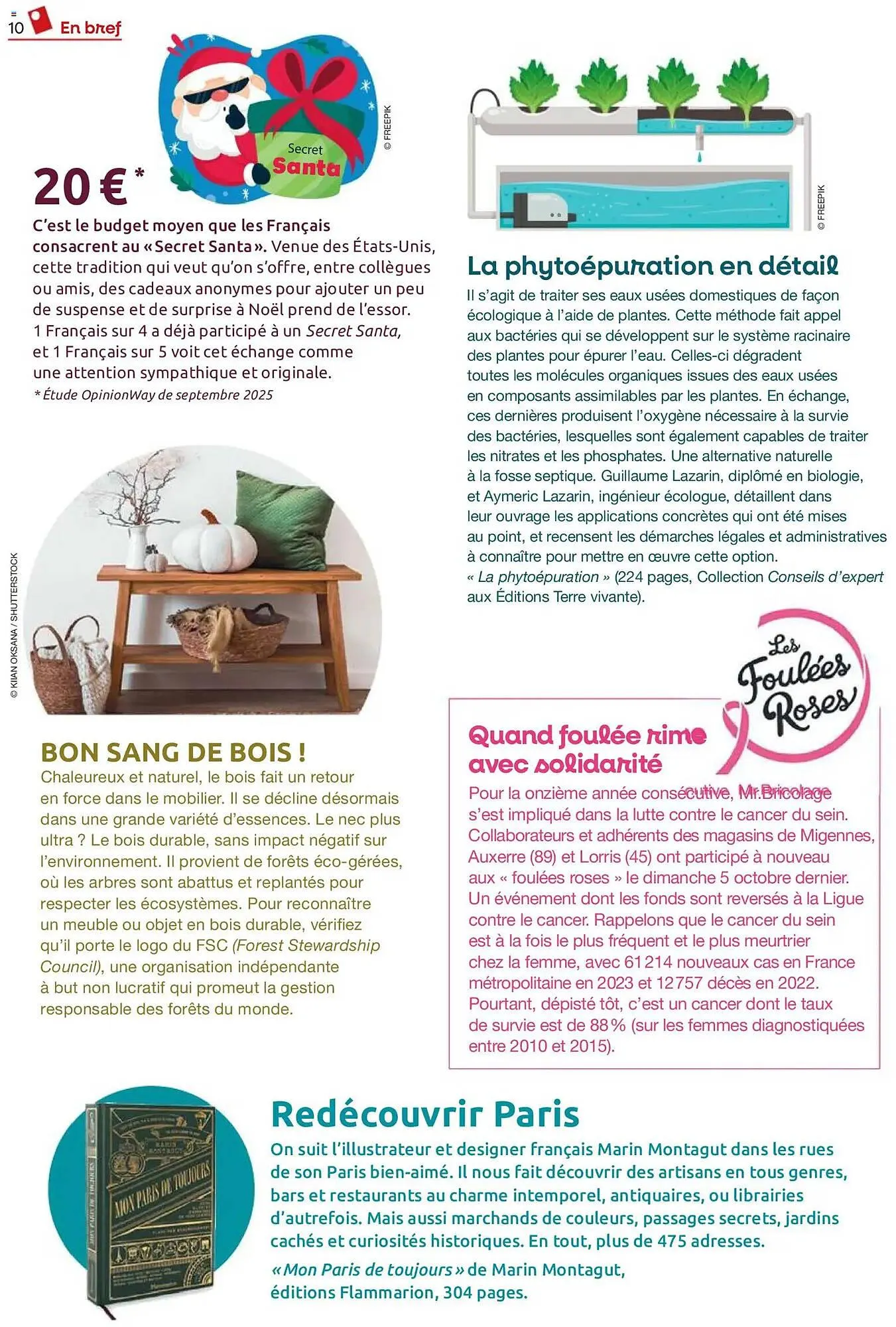 Catalogue Mr Bricolage du 1 décembre au 31 décembre 2025 - Catalogue page 10