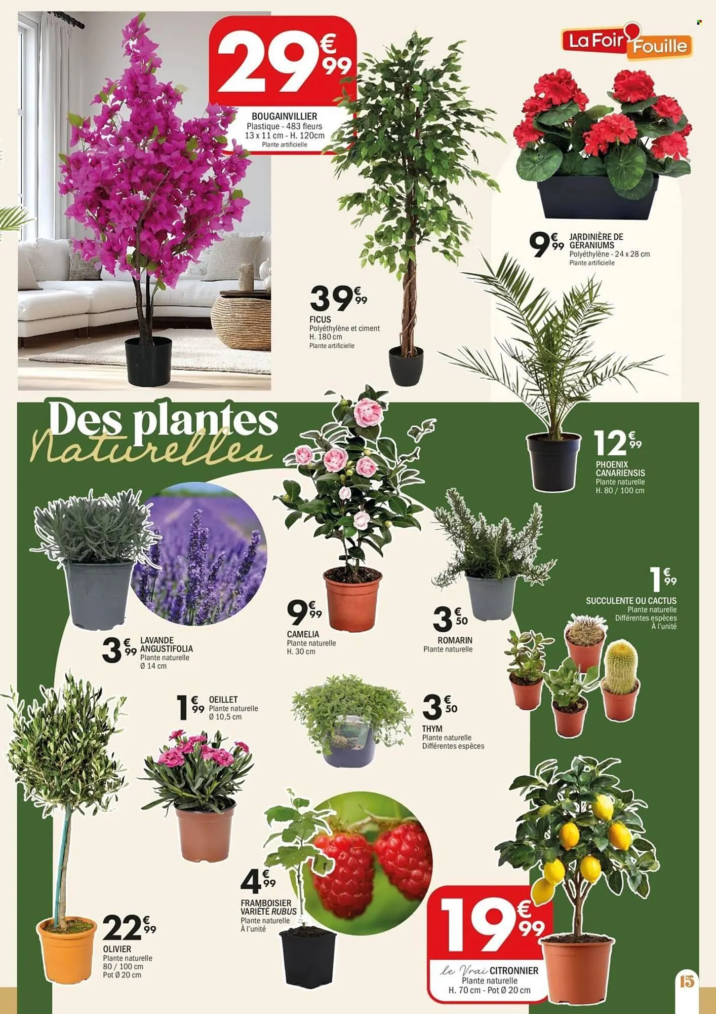 Catalogue La Foir'Fouille du 16 février au 1 mars 2026 - Catalogue page 15