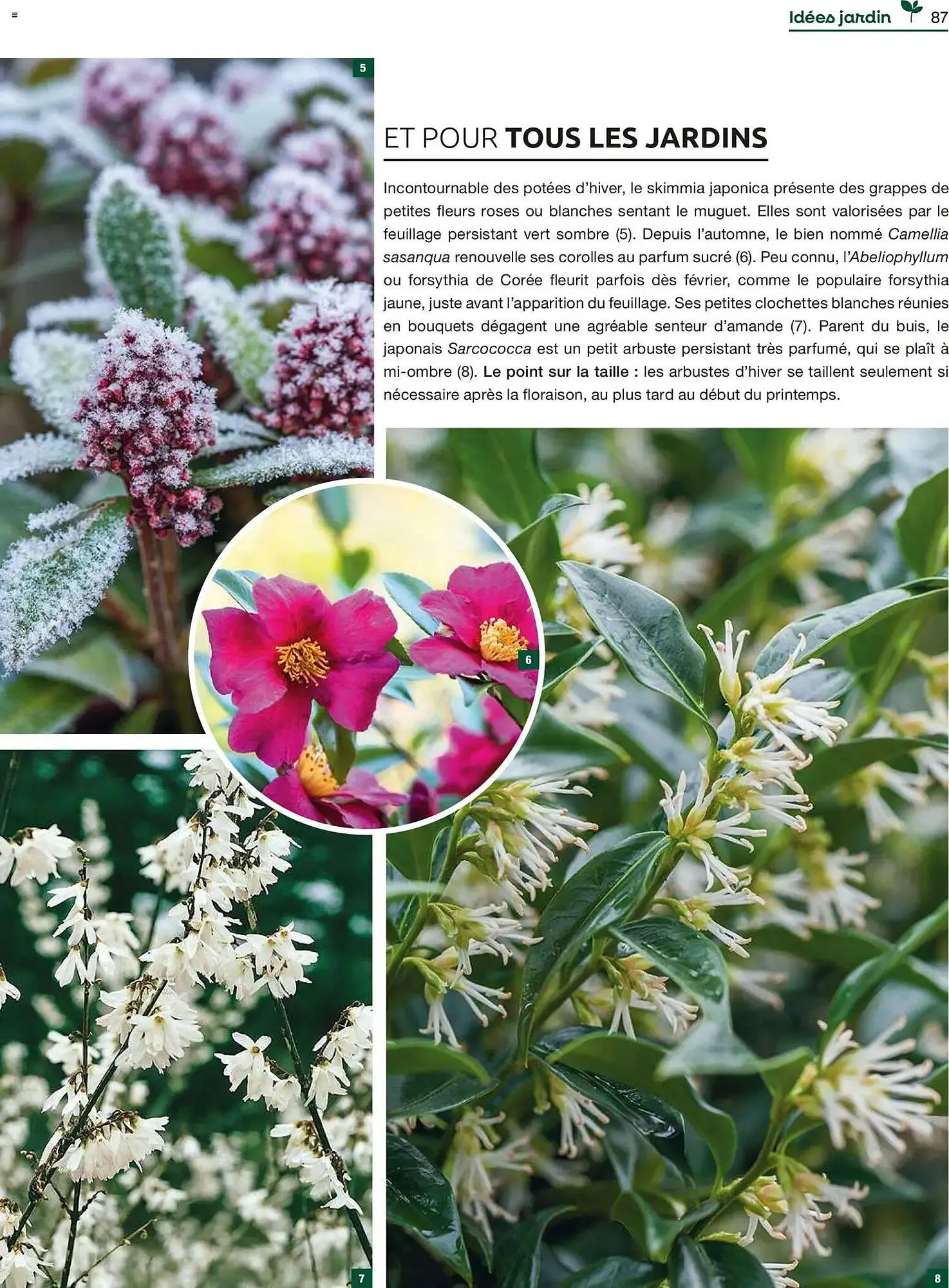 Catalogue Mr Bricolage du 1 décembre au 31 décembre 2025 - Catalogue page 87