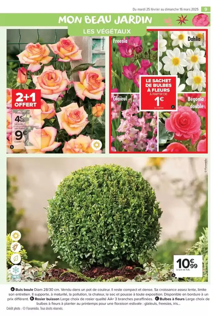 PROFITER ENFIN DE SON JARDIN du 25 février au 16 mars 2025 - Catalogue page 9
