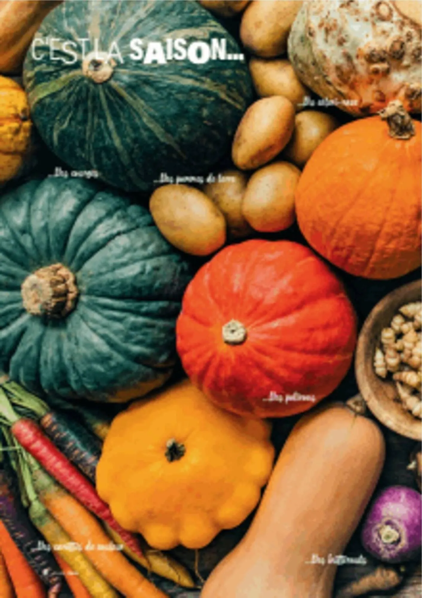 Catalogue Grand Frais du 12 décembre au 20 mars 2026 - Catalogue page 6