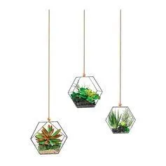 Sticker mural déco plantes suspendues 70x20cm