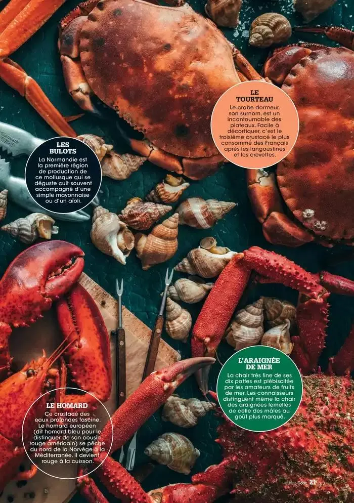 Hiver 2024 du 3 décembre au 20 mars 2025 - Catalogue page 21