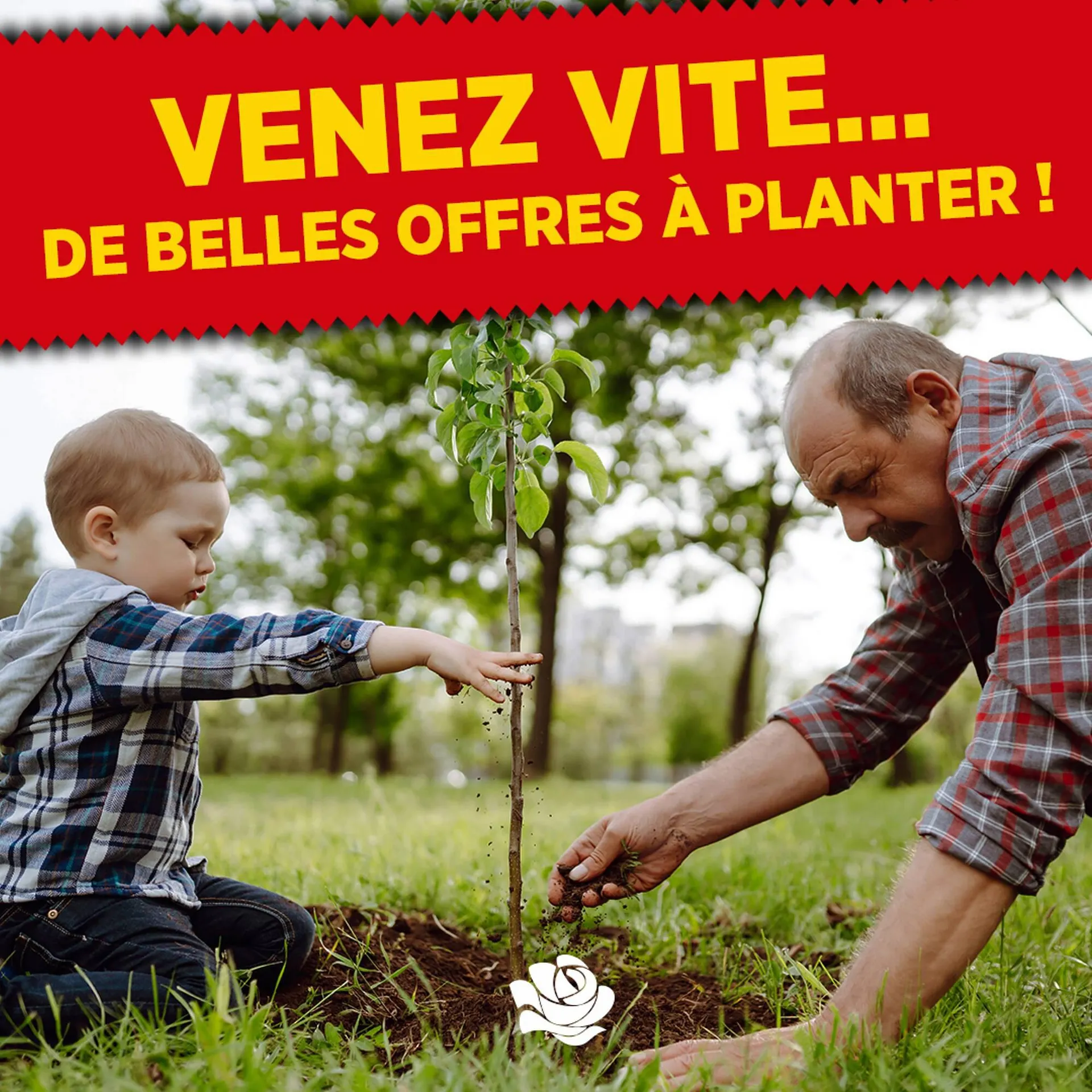 Catalogue Delbard - 1