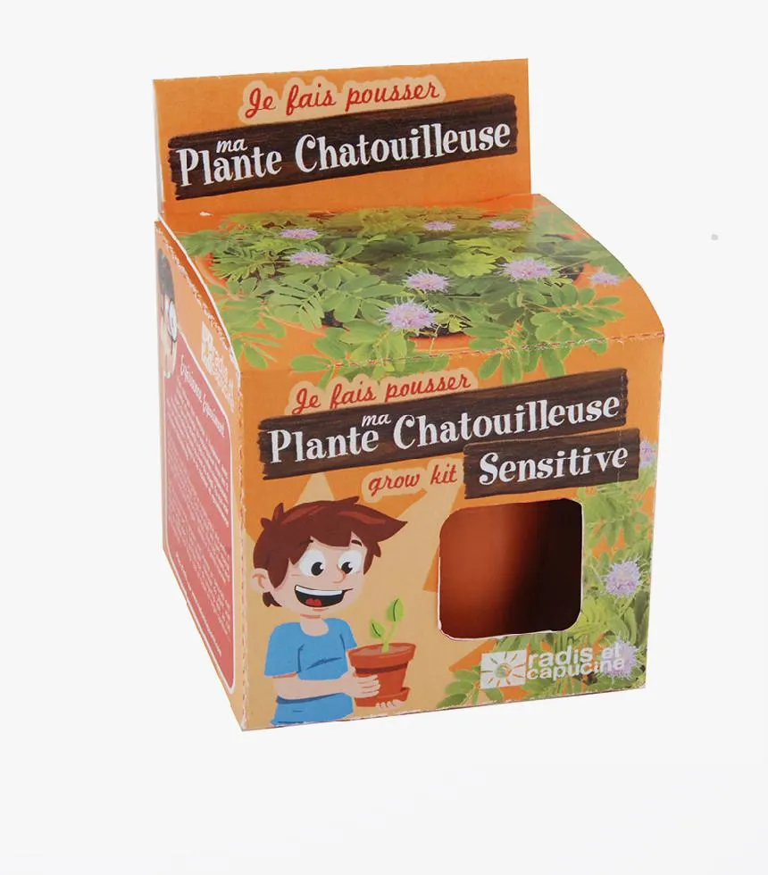 Kit DIY Mimosa à planter - Radis et Capucine