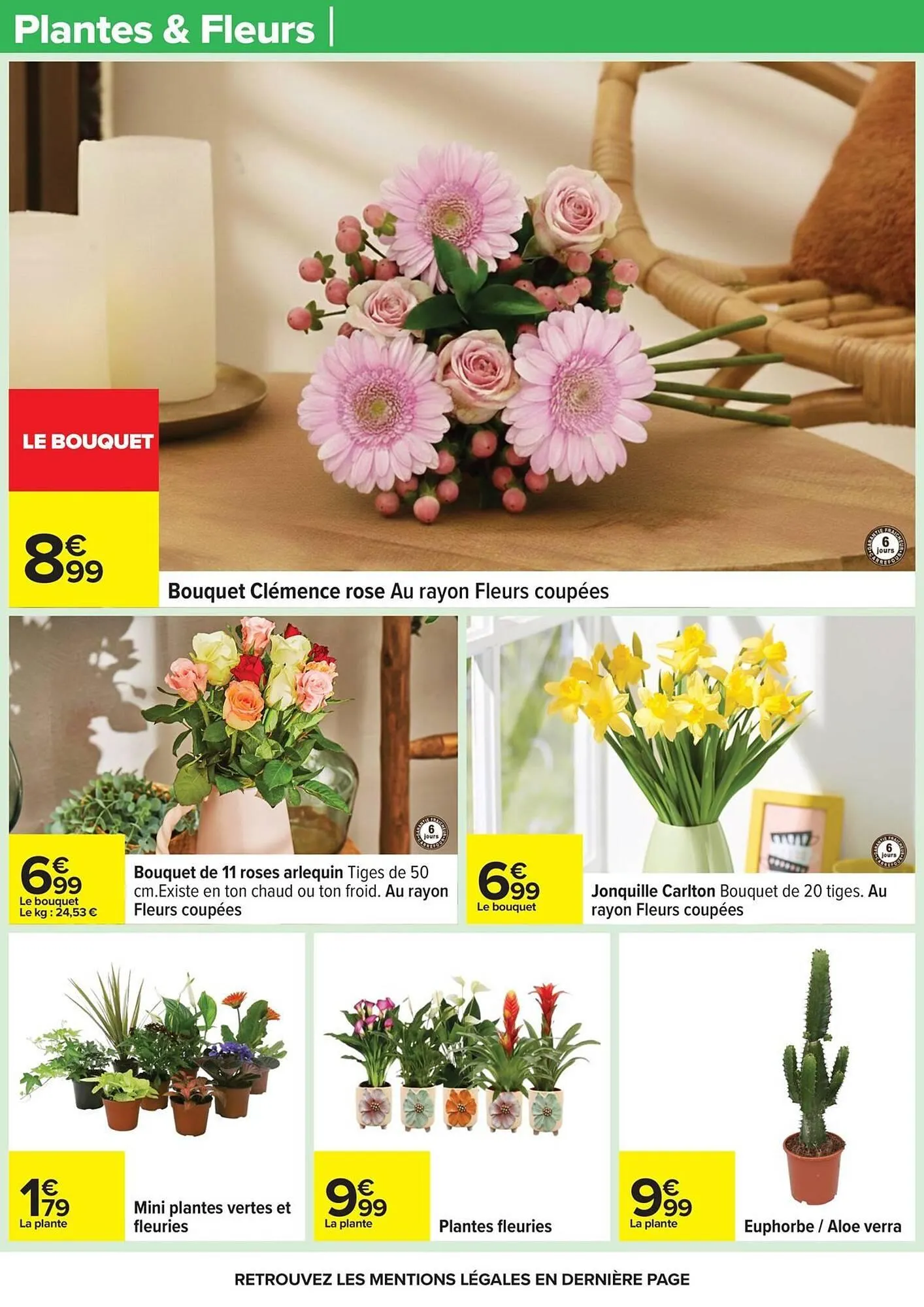 Catalogue Carrefour du 10 mars au 23 mars 2026 - Catalogue page 31