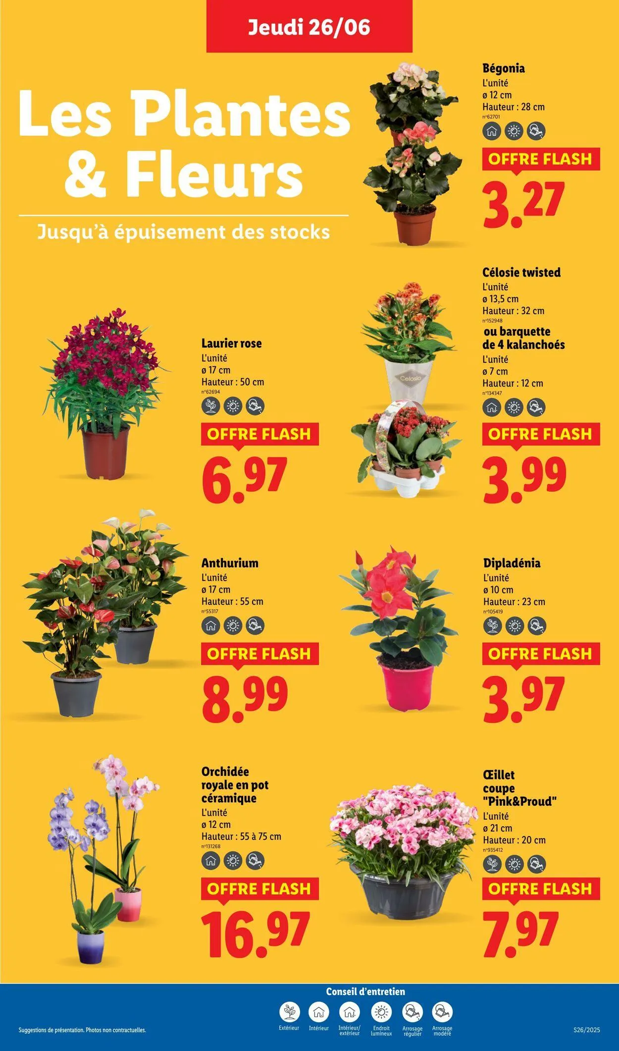 Lidl du 26 juin au 2 juillet 2025 - Catalogue page 29