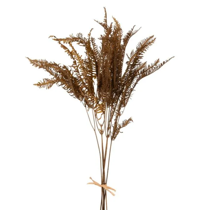 Pianta essiccata marrone - Lotto di 3