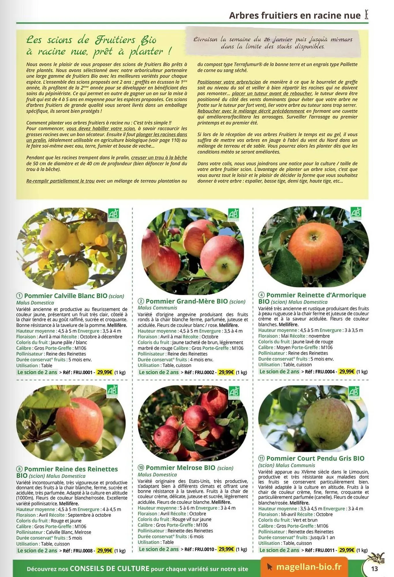 Catalogue Magellan du 1 janvier au 31 décembre 2026 - Catalogue page 13