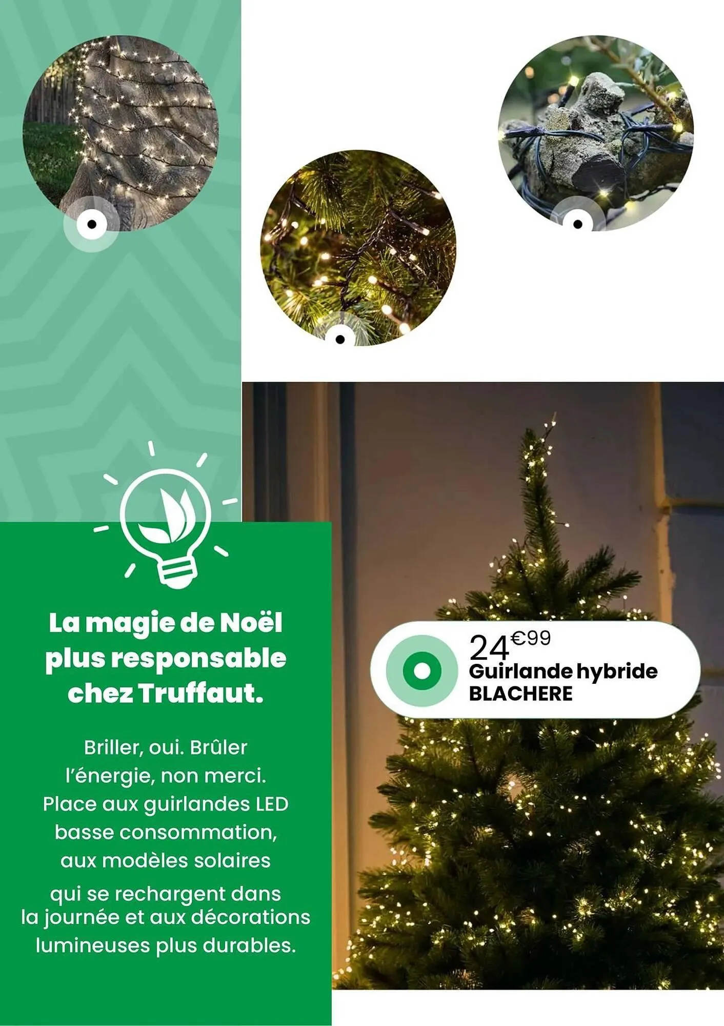 Catalogue Truffaut du 2 décembre au 31 décembre 2025 - Catalogue page 36