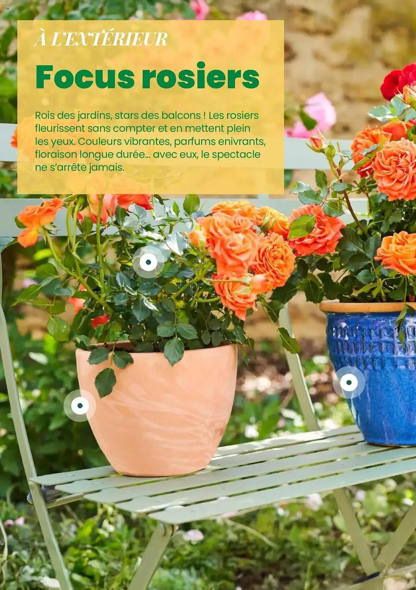 Catalogue Truffaut du 7 mai au 31 juillet 2025 - Catalogue page 10