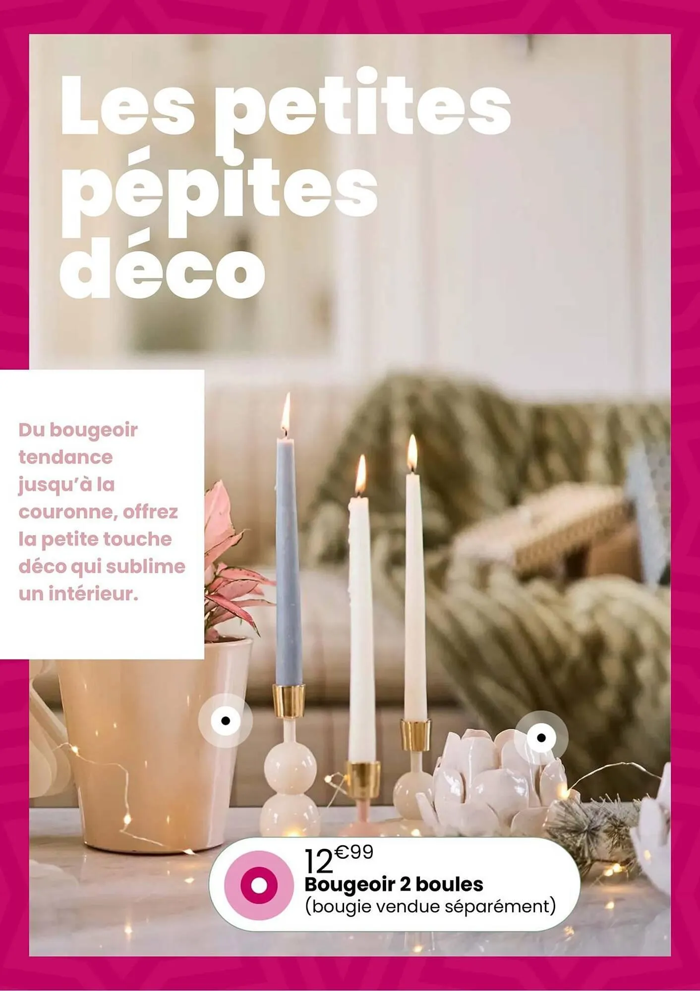 Catalogue Truffaut du 2 décembre au 31 décembre 2025 - Catalogue page 43