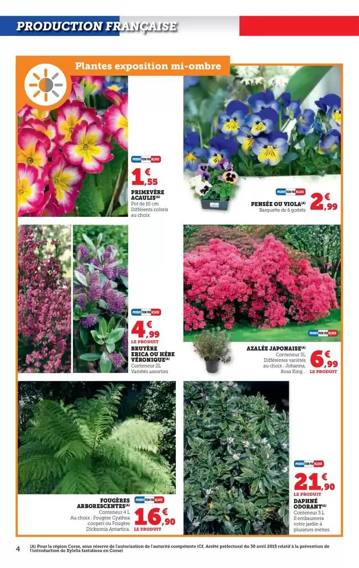 Spécial Jardin du 18 février au 16 mars 2025 - Catalogue page 4