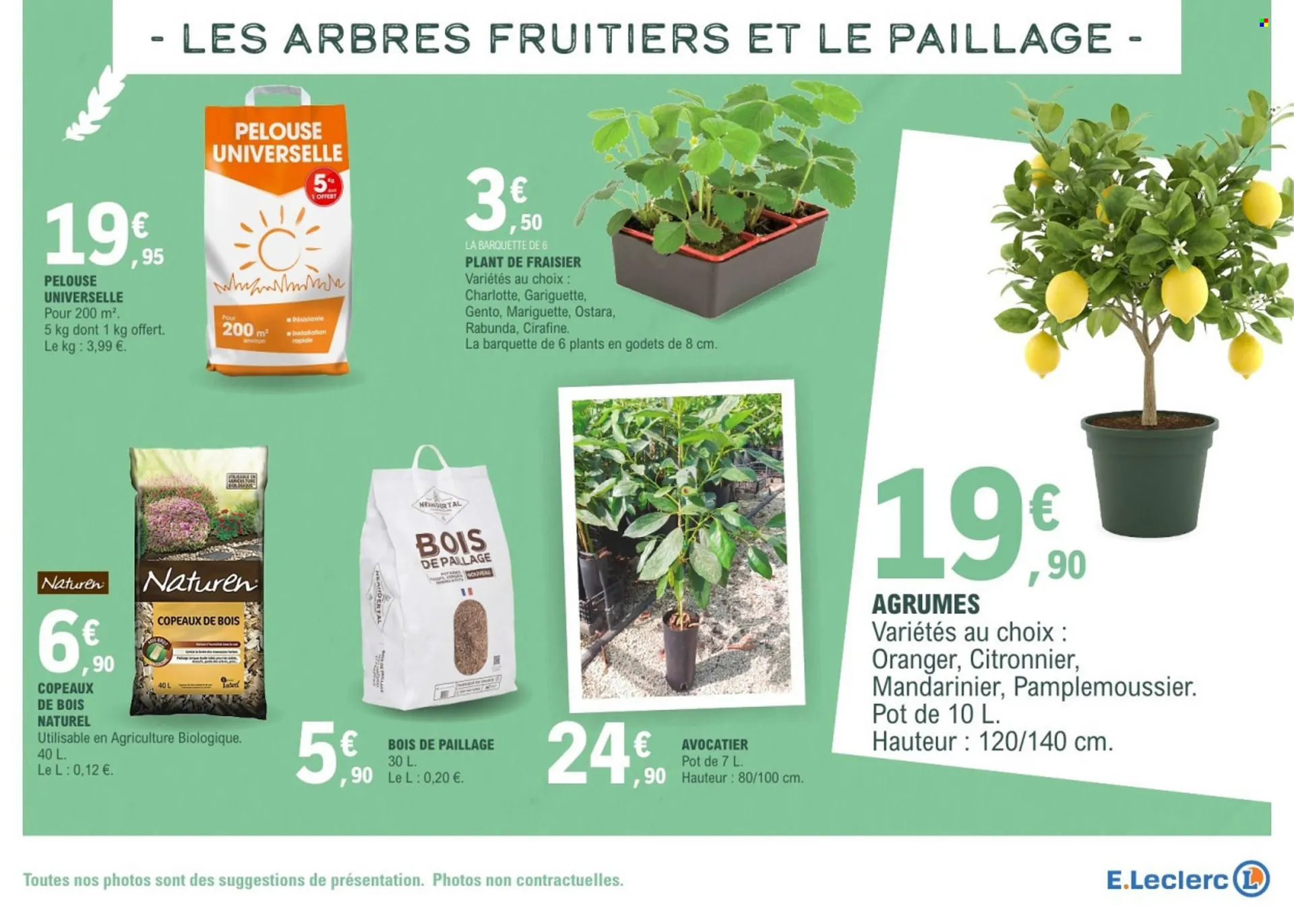 Catalogue E.Leclerc du 17 mars au 28 mars 2026 - Catalogue page 15