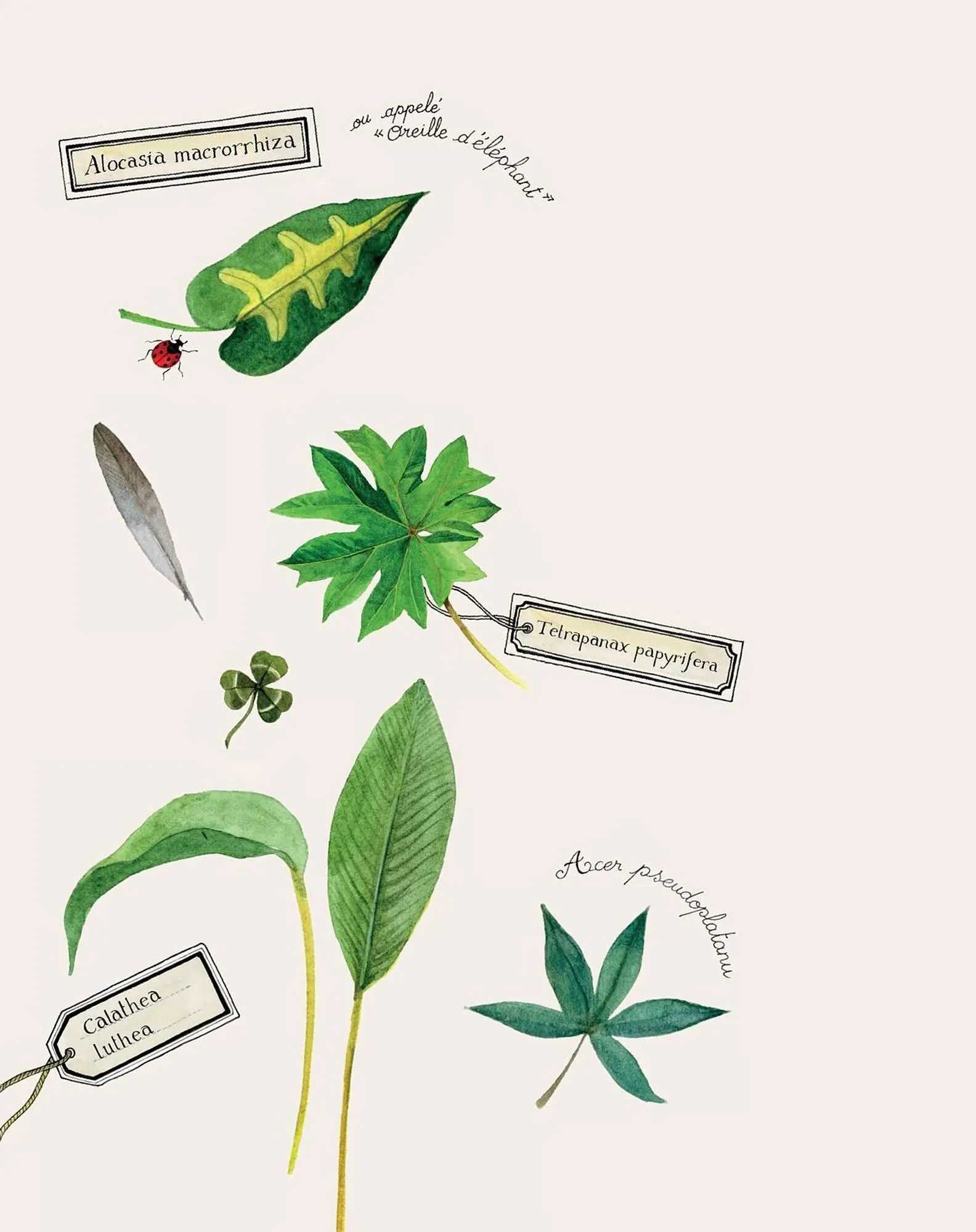 Catalogue Moulin Roty du 1 février au 28 février 2026 - Catalogue page 2