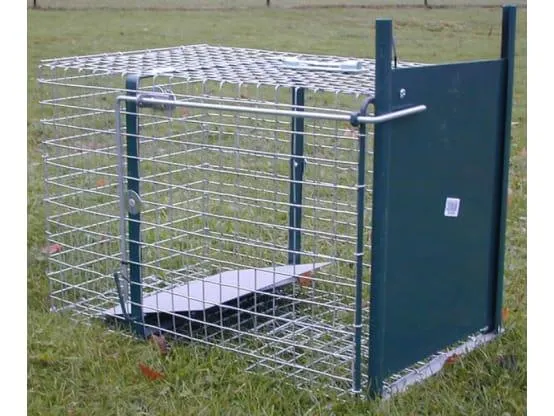 Cage à fouine 1 entrée grillage galvanisé L.60 x l.22 x H.22 cm - LUCIFER