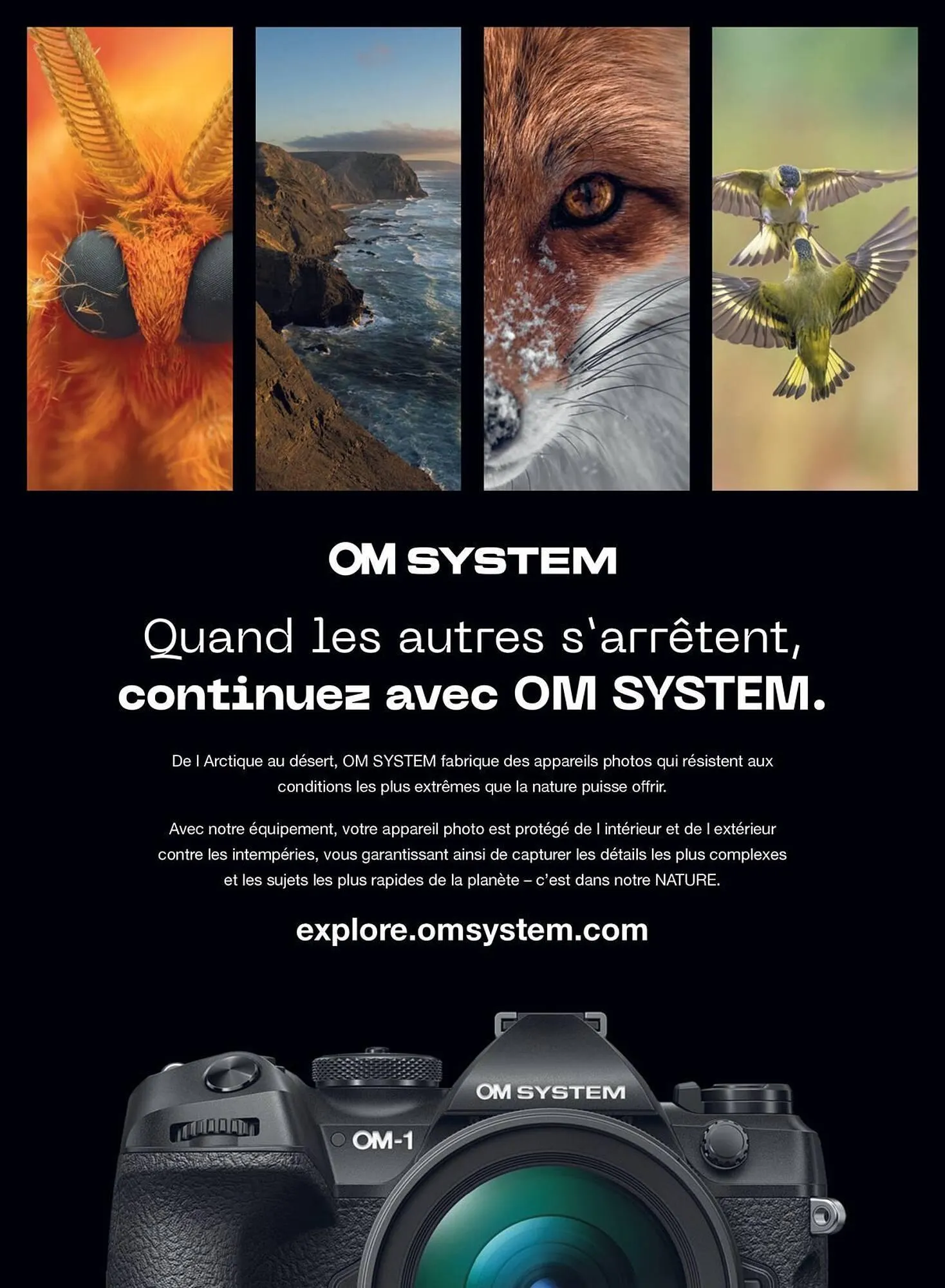 Catalogue Camara du 2 juillet au 31 décembre 2025 - Catalogue page 75