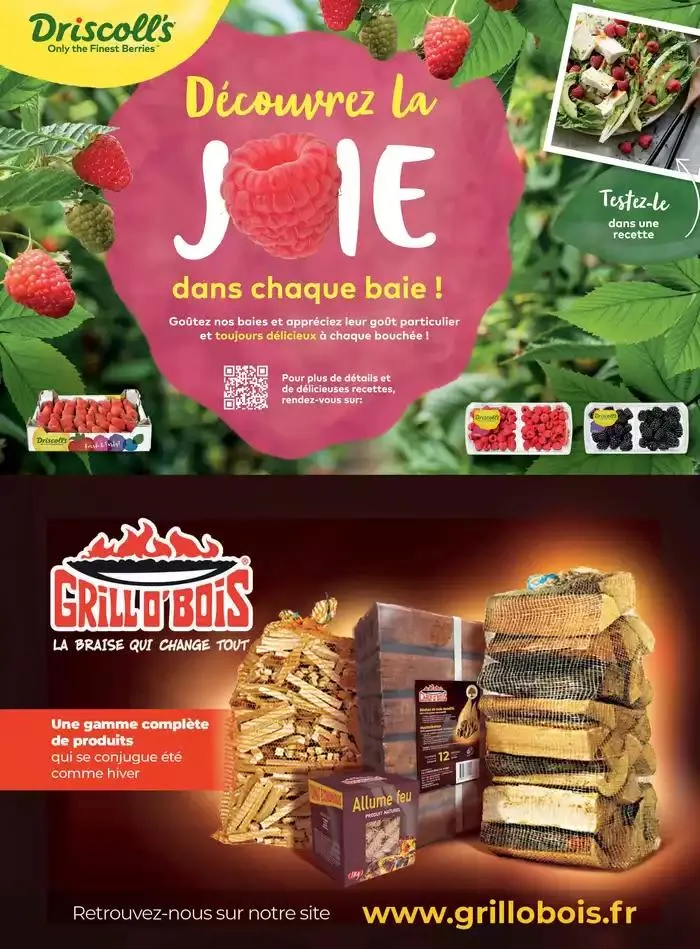 La main Verte du 12 mai au 31 décembre 2025 - Catalogue page 43